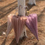 Tiitaa.com × Tiitaa: Long Handle Umbrella runway look in Cinnamon