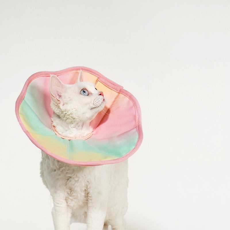 Tiitaa.com × Tiitaa: 12 runway look in