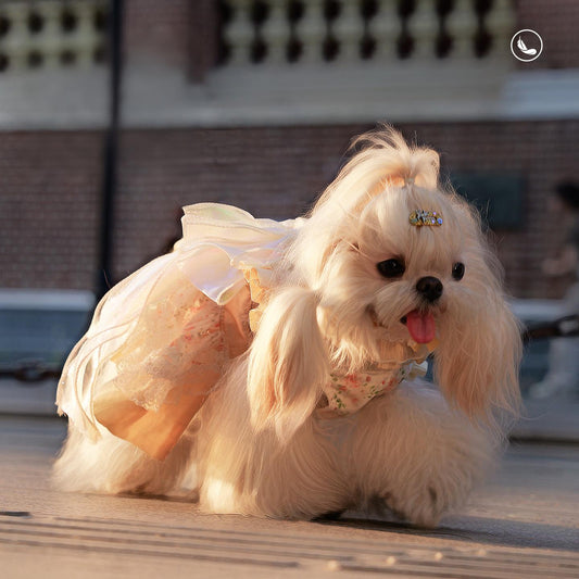 Tiitaa.com × Tiitaa: 15 runway look in