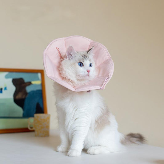 Tiitaa.com × Tiitaa: 3 runway look in