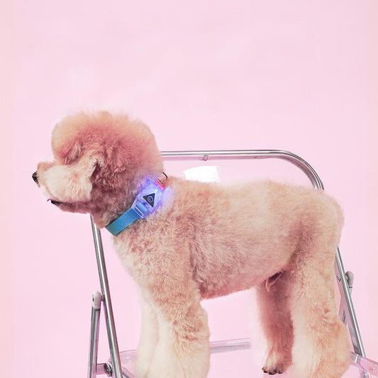 Tiitaa.com × Tiitaa: 4 runway look in