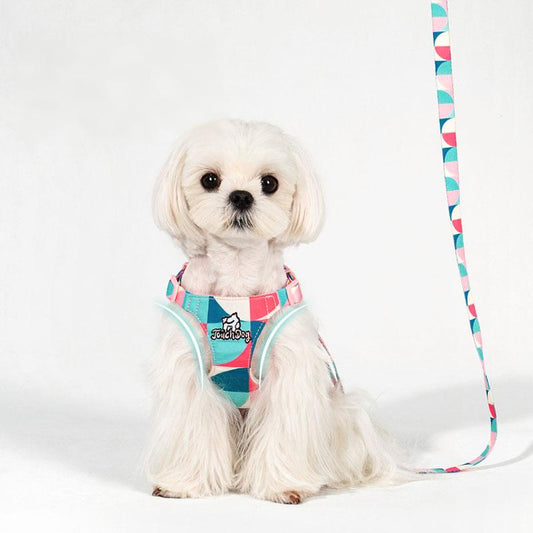 Tiitaa.com × Tiitaa: 9 runway look in